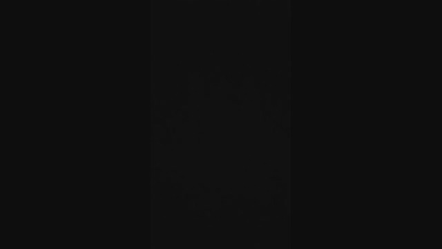 rex_2327  29-04-2022